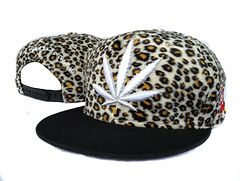 DGK Caps-107